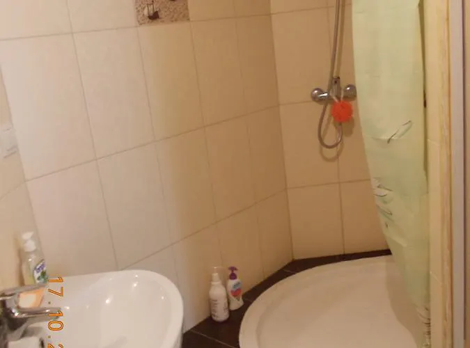 公寓 Amazing Rooftop 利沃夫